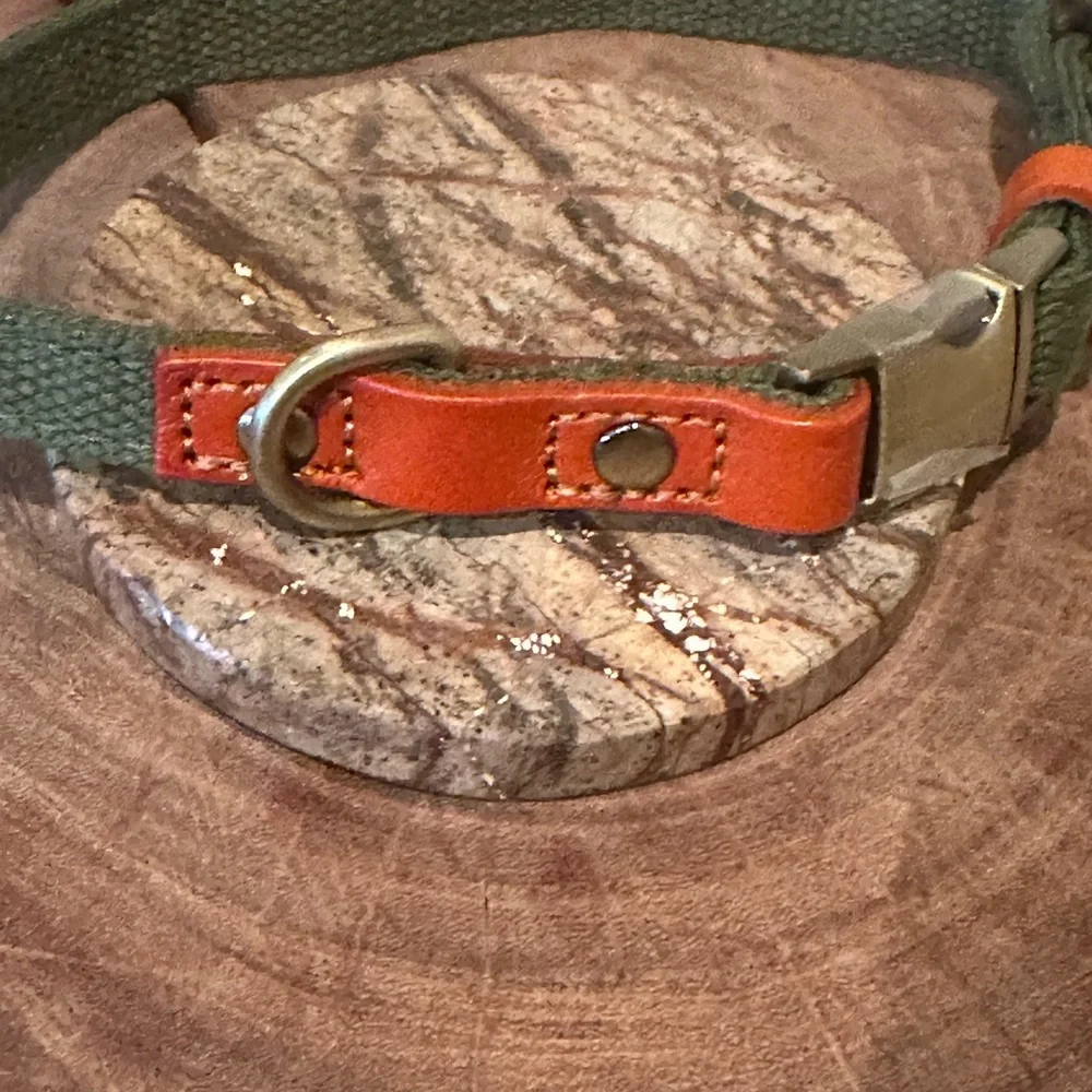 Ajustable Custom Dog Collar with Quick Release Buckle